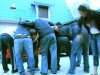 asses.jpg