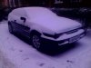 IMG0140A.jpg