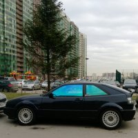IMAG5894_1.jpg