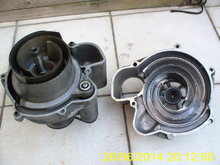 PICT0332.JPG