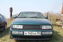 IMG_2982.JPG