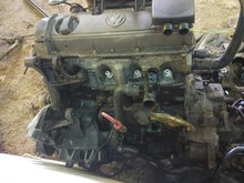 IMG_20200305_091601.jpg