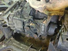 IMG_20200305_091620.jpg