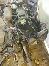 IMG_20200305_091606.jpg