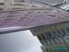 IMGP0074.jpg
