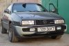 DSC_5921_2010.jpg