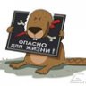 Arkhipov